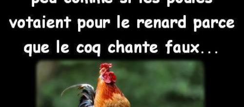 elections J -2