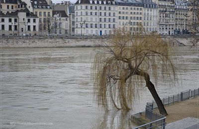 Exercice de simulation d'une crue majeure en Île-de-France