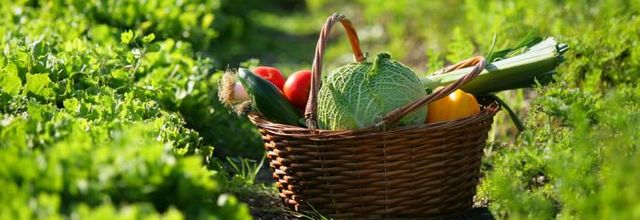 La taxe sur les potagers en vigueur dès 2021
