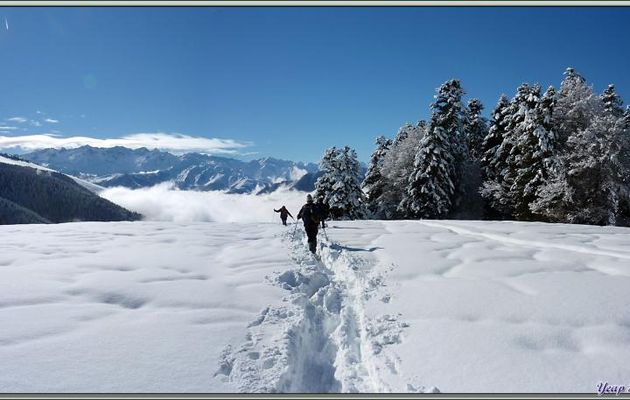 Images des Pyrénées (Année 2013)