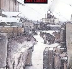 48. COLMILLO BLANCO leer pdf