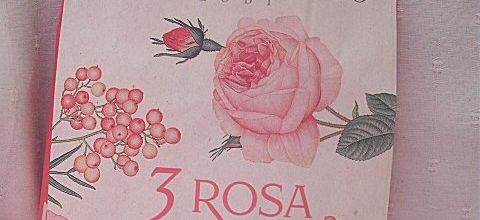 Des roses d'Italie