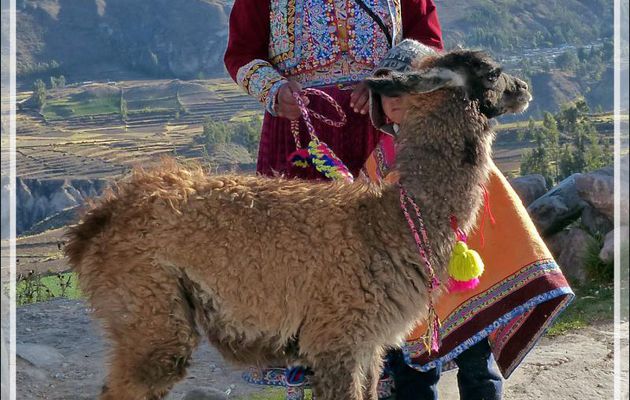 Vendeuses d'images touristiques - Achoma - Canyon de Colca - Pérou