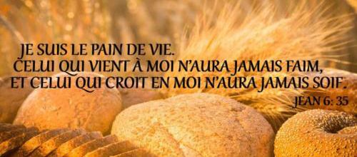 Homélie du 18e dim/tem/ordi.- Le pain dont nous avons faim - 4 aout 2024