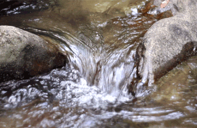 Au coeur de l'eau