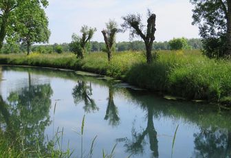 Reflets en Mai (dept17)  défi