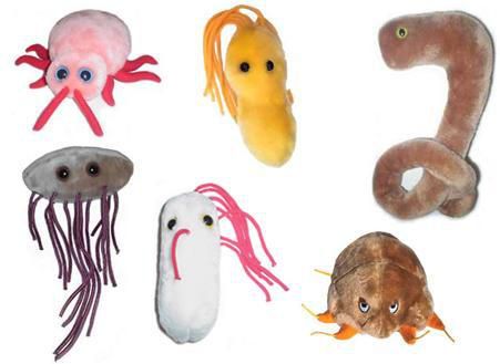 Que dire des "microbes"