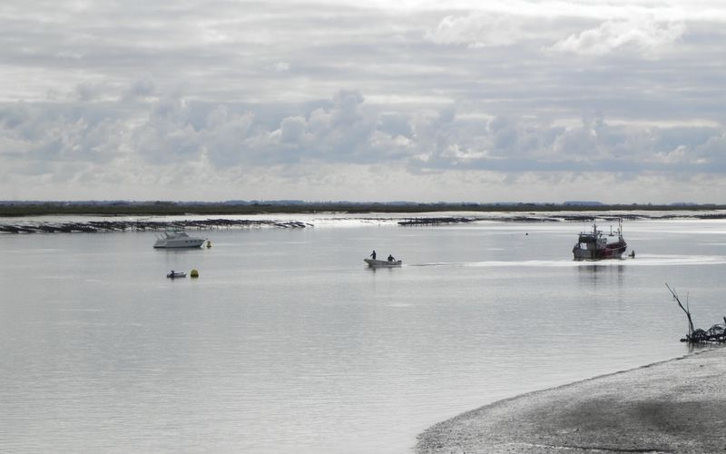 mes photos-tableaux ! à Mornac 17