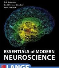 DOWNLOAD [PDF] {EPUB} Essentials of Modern Neuroscience / Edition 1
