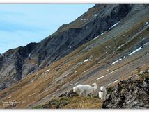 les Aravis #2