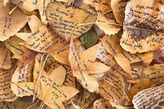Feuilles mortes ...