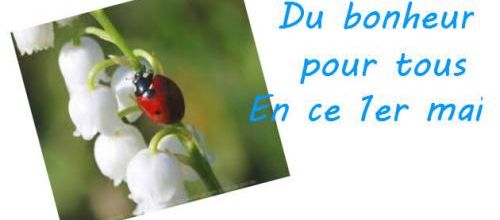 1er mai... Je bosse fort !