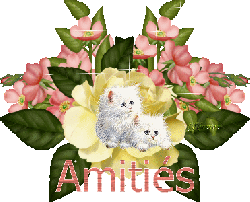 Les hortillonnages d'Amiens..