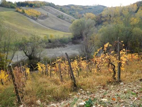Eté indien à Castell'Arquato PC Emilia-Romagna Italie
