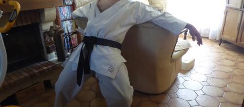 Stage de karaté en confinement