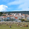 STE ANASTASIE SUR ISSOLE - dimanche 15 novembre