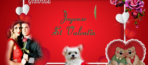BONNE SAINT VALENTIN