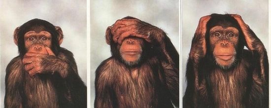 Le singe et sa symbolique