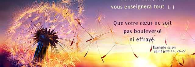 Homélie du 6e dim de Pâques -O Seigneur, envoie ton Esprit - 25 mai 2025
