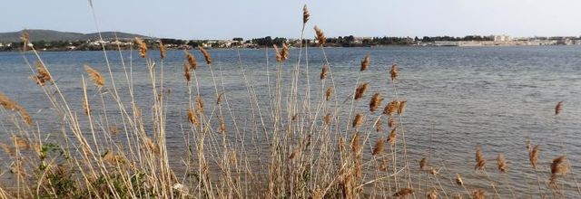 Bouzigues...