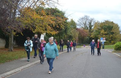 La balade du 4 novembre entre Ifs et Cormelles