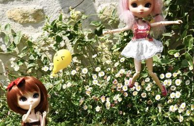 Rêves que tu as des ailes, hirondelle ou tourterelle !