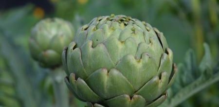 6 aliments de tous les jours