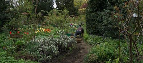 C'est magique dans le jardin d'André Eve
