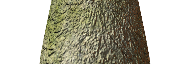 ѼVegetation