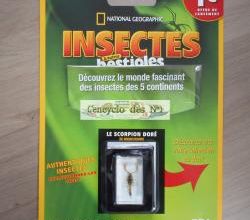 N° 1 Insectes & autres bestioles - Lancement