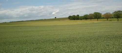 La Brûlure suivi de Marie-Salope, Gisèle Bienne (Actes Sud)