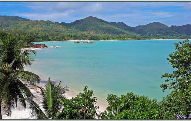 11/12/2021 : une belle journée commence avec le soleil. Départ en balade en passant par la route qui traverse la Vallée de Mai - Praslin - Seychelles 