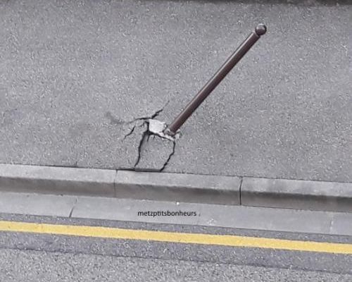 Mes insolites de la 1 ère semaine d'août...