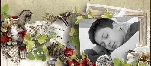 Sweet Cocooning 
