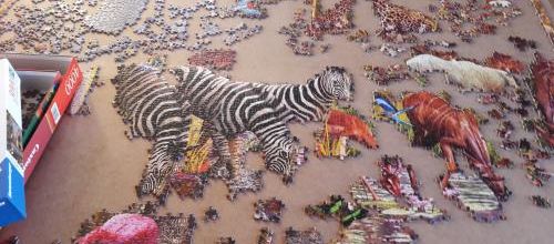 Des animaux s'esquissent