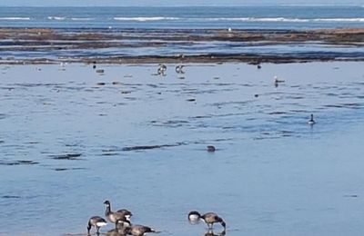 Sur un rêve de bleu