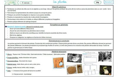 Séquence sur la germination, MS GS