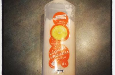 Produit vaisselle maison aux Agrumes