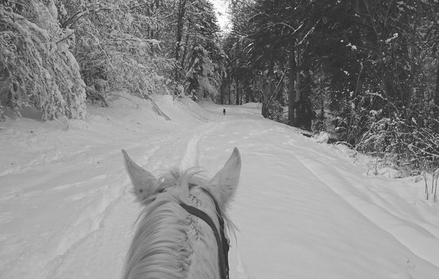 Le 6 décembre 2020 : Balade à cheval dans la neige.