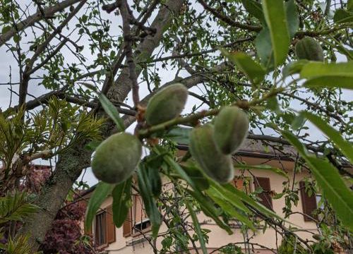 Ferme aux papillons