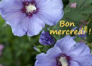 Drôles d'expressions