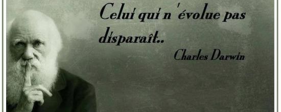 Celui qui n'évolue pas disparaît