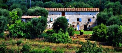 Plongez dans l'authenticité de la Ferme de Marie en Provence