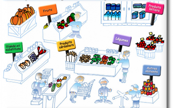 Epicerie des jeunes
