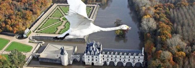 Le plus beau pays du monde - Plongez au coeur de la vie sauvage française