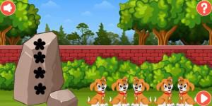 Deer escape