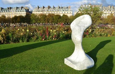 FIAC 2014 Jardin des Tuileries : New Age Demanded de Jon Rafman