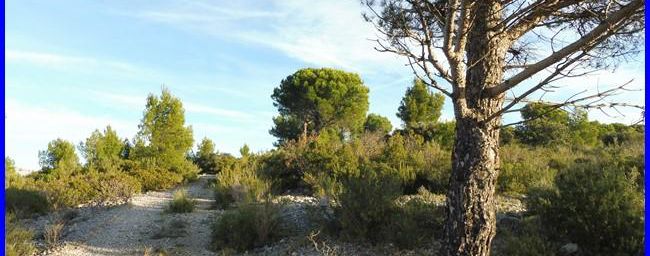 Calanques, la pointe Cacaù
