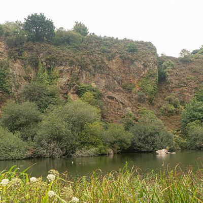 Au bout du  29 :  Une nature exubérante 2/2