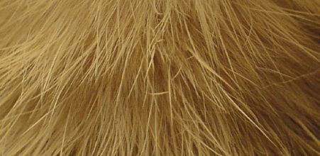 HAUTE*COUTURE@SCAREE*FASH